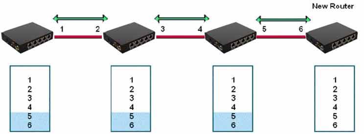 Link state Routing Update