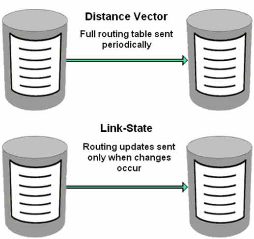 distance Vector and Link state Routing Update